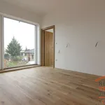 Pronájem domu 248m² s pozemkem 420m²