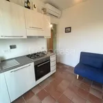 Rent 2 bedroom apartment of 45 m² in Nettuno