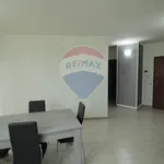 Affitto 3 camera appartamento di 84 m² in Viterbo