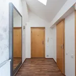 Pronajměte si 4 ložnic/e byt o rozloze 214 m² v Prague