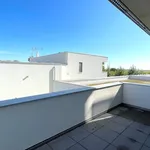 Rent 1 bedroom apartment in Brno