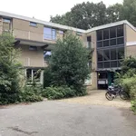 Rent 3 bedroom apartment of 70 m² in Heiloo