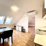 Rent 3 bedroom apartment of 105 m² in Plzeň