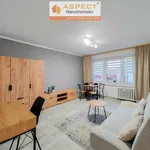 Rent 1 bedroom apartment of 28 m² in Zabrze