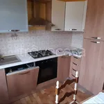 Rent 1 bedroom apartment of 70 m² in Verrone