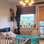 Rent 2 bedroom apartment of 75 m² in Praha