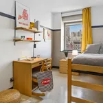 Rent 1 bedroom apartment in New York