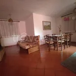 Rent 3 bedroom apartment of 75 m² in Bolognola