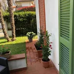 Villa Bifamiliare in in affitto da privato a Pietrasanta via Umberto Maddalena, 91, giardino privato, posto auto, da privato - TrovaCasa