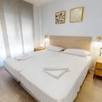 Alquilo 4 dormitorio apartamento de 60 m² en Alicante