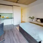 Rent 20 bedroom apartment in London