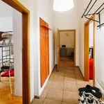 Rent 3 bedroom apartment of 100 m² in Prague