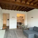 Rent 3 bedroom apartment of 120 m² in Turin