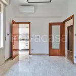 Rent 3 bedroom apartment of 75 m² in Bologna