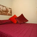 Rent 1 bedroom apartment in rome