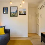 Rent 1 bedroom apartment of 65 m² in florence