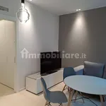 Rent 2 bedroom apartment of 53 m² in Turin