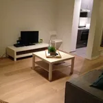 Rent 1 bedroom apartment in brussels