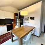 Rent 3 bedroom apartment of 70 m² in Treviso