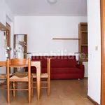 Rent 2 bedroom apartment of 50 m² in Pisa