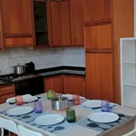 Rent 4 bedroom apartment in Florence