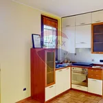 Appartamento in Affitto Cernusco sul Naviglio 31021019-140 | RE/MAX Italia