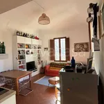 Rent 1 bedroom apartment of 50 m² in Pisa