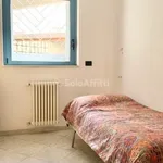 Rent 4 bedroom apartment of 110 m² in Bari