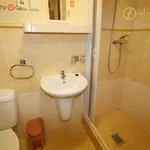 Rent 2 bedroom apartment of 30 m² in Chomutov