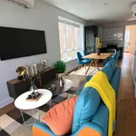 Rent 1 bedroom apartment in Williamsburg