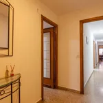 Rent 5 bedroom apartment in Valencia