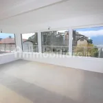 Rent 4 bedroom apartment of 150 m² in Trento