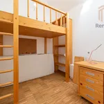 Pronajměte si 3 ložnic/e byt o rozloze 180 m² v Prague