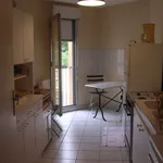 Rent 3 bedroom apartment of 65 m² in ToulouseT