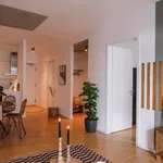 Rent 1 bedroom apartment in Berlin