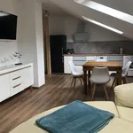 Miete 1 Schlafzimmer wohnung von 70 m² in Dresden