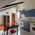 Rent 1 bedroom apartment of 40 m² in turin