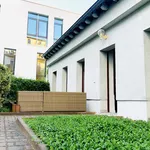 Rent 2 bedroom apartment of 55 m² in Dresden