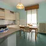 Rent 1 bedroom apartment of 14 m² in Modena