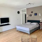 Huur 1 slaapkamer appartement van 40 m² in Den Haag