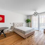 Rent 1 bedroom apartment of 39 m² in Prague