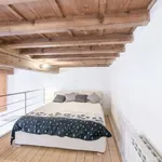 Rent 1 bedroom apartment of 35 m² in florence