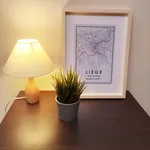 Rent 1 bedroom apartment in Liège