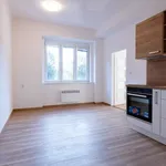 Pronajměte si 1 ložnic/e byt o rozloze 48 m² v Prague