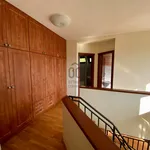 Rent 5 bedroom apartment of 141 m² in Budapest