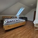 Rent 5 bedroom house in České Budějovice