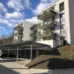 Rent 2 bedroom apartment in Brno