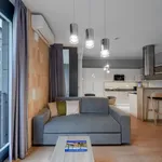 Rent 1 bedroom apartment of 41 m² in Dresden