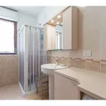 Rent 2 bedroom apartment of 68 m² in Milano