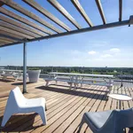 Rent 2 bedroom apartment of 55 m² in Arnhem